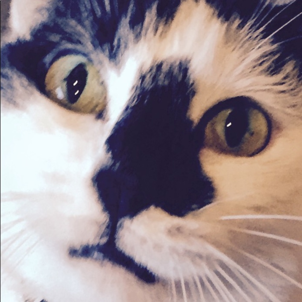 Meet your Posher, Camille